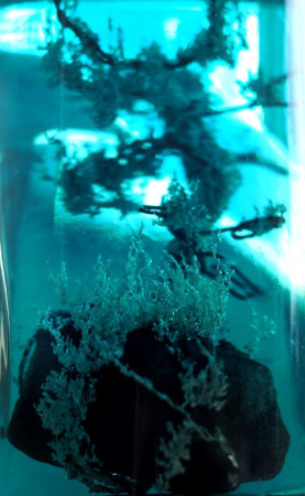 aP1010001 (151) (Small).JPG